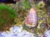 Mar142010_0100.jpg