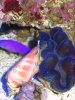Mar142010_0103.jpg