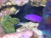 Mar142010_0086.jpg