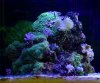 IMG_3533.jpg