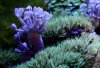 IMG_3538.jpg