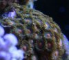 IMG_3540.jpg