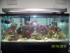 Picture 005.jpg