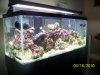 Picture 007.jpg