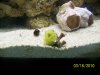 Picture 011.jpg