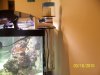 Picture 013.jpg