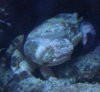 DSC02234.jpg