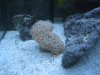 IMG_0165.JPG