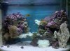 36g bf 3.21.10.jpg