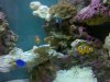 36g bf 3.21.10 II.jpg