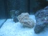 IMG_0181.JPG