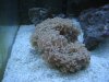 IMG_0193.JPG