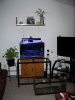 Stand & sumptank 3-27-10.jpg