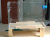 DSC02352.jpg