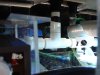 DSC02408.jpg