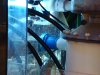 DSC02407.jpg