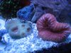 Tank 3-28-10 042.jpg