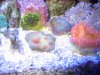 Tank 3-28-10 036.jpg