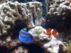 IMG_1767.jpg