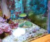 IMG_0209.JPG