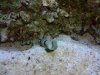 2010-04-12 22.07.35.jpg