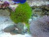 2010-04-12 22.07.05.jpg