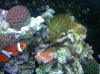 2010-04-12 22.07.15.jpg