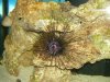 DSCN3174.JPG