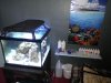 P4180055.JPG