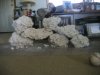 reef rocks 003.jpg
