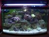 full tank shot.jpg
