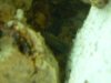 DSCN3203.JPG