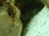 DSCN3204.JPG