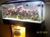 Picture 096.jpg