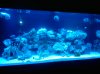 2010-04-27 22.17.29.jpg