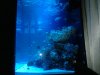 2010-04-27 23.11.53.jpg