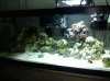 2010-04-29 20.23.41.jpg