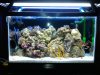 2010-04-29 20.24.07.jpg