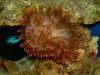 DSCN3316.JPG