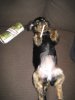 Minha with beer can and Cigarette.JPG