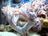 2010-05-14 10-36-02.224.jpg