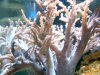 2010-05-14 10-50-56.461.jpg