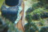 DSC03720.jpg