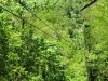 IMG_0124.jpg