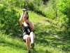 IMG_0146.jpg