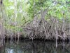 IMG_0244.jpg