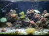 20100516_001.jpg