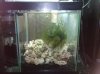2010-05-20 22.42.57.jpg