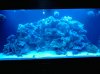 2010-05-20 22.42.41.jpg