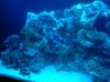 2010-05-20 22.43.41.jpg